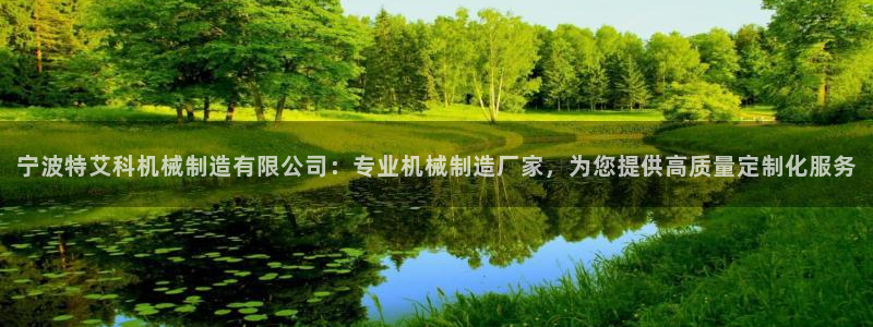 彩神赢的钱是哪里来的：宁波特艾科机械制造有限公司：专业机械制造厂家，为您提供高质量定制化服务