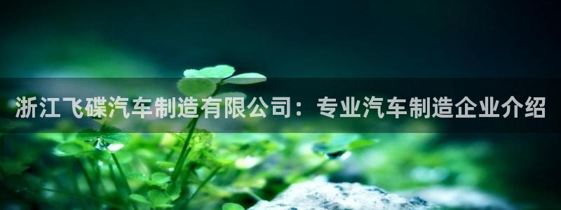 彩神新微聊：浙江飞碟汽车制造有限公司：专业汽车制造企业介绍