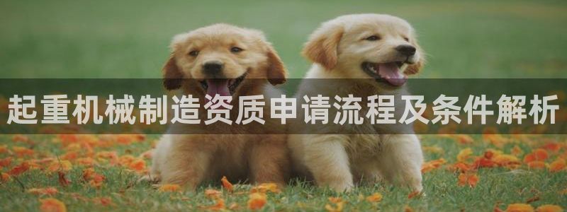 彩神v平台