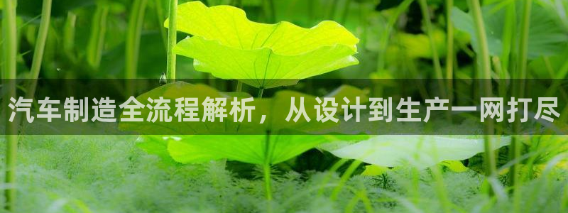 彩神v争霸有限公司：汽车制造全流程解析，从设计到生产一网打尽
