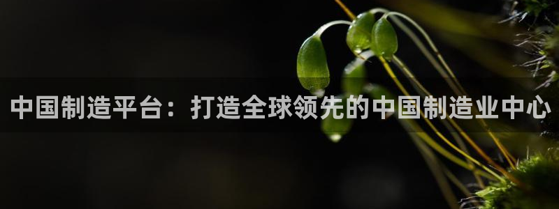 彩神网官网登录：中国制造平台：打造全球领先的中国制造业中心