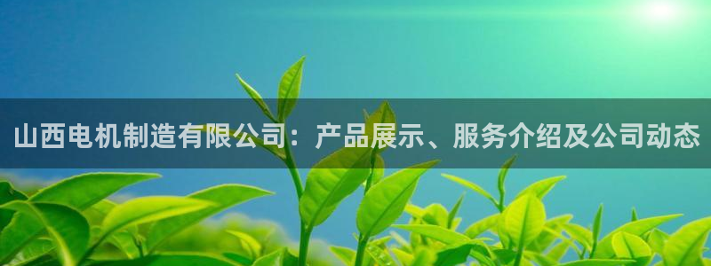 彩神8官网版是正规的吗：山西电机制造有限公司：产品展示、服务介绍及公司动态