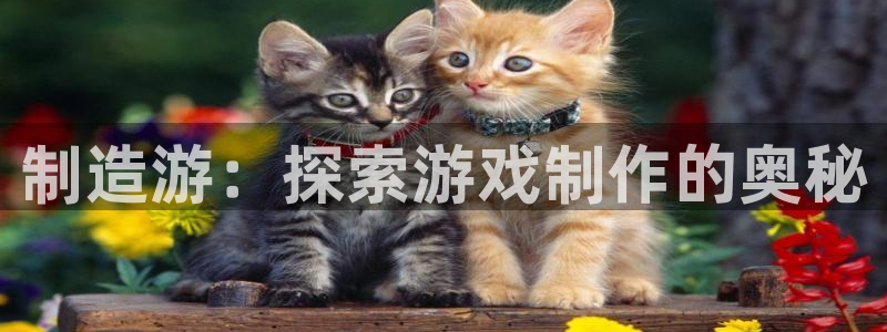 彩神平台：制造游：探索游戏制作的奥秘