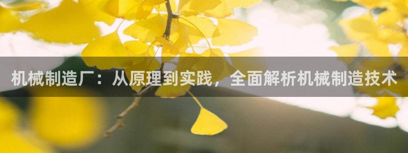 彩神平台能提现吗