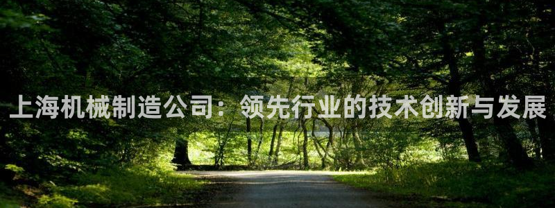 彩神v集团有限公司：上海机械制造公司：领先行业的技术创新与发