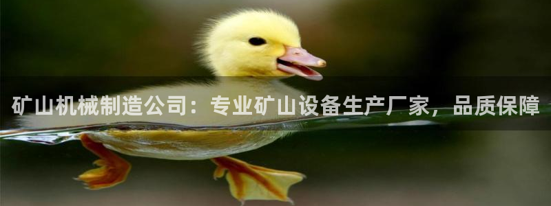 彩神8最新版下载：矿山机械制造公司：专业矿山设备生产厂家，品质保障