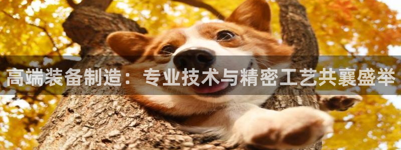 大发彩神最高邀请码