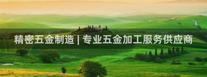 彩神赢的钱是哪里来的啊：精密五金制造 | 专业五金加工服务供