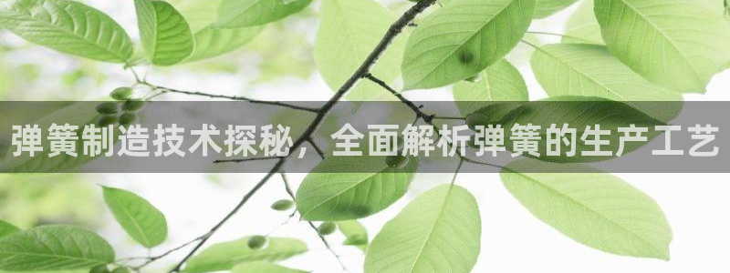 彩神vl购彩大厅：弹簧制造技术探秘，全面解析弹簧的生产工艺