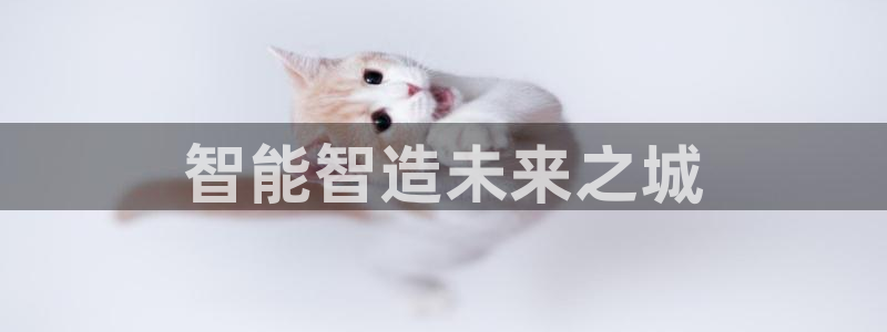 彩神是正规平台吗是真的吗：智能智造未来之城