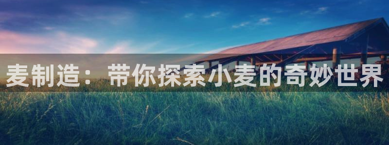 彩神vii官网大赢家