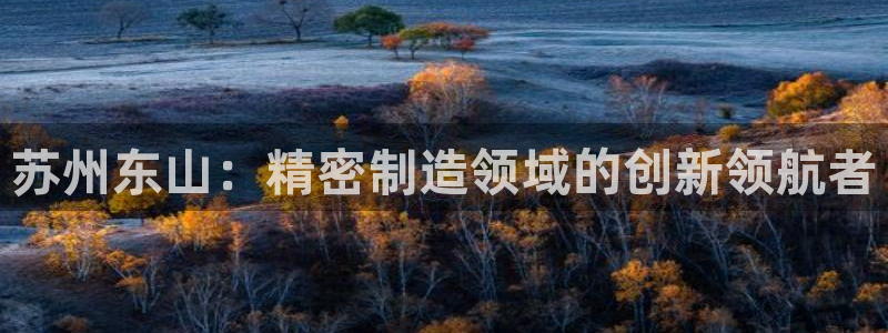彩神v8几个版本