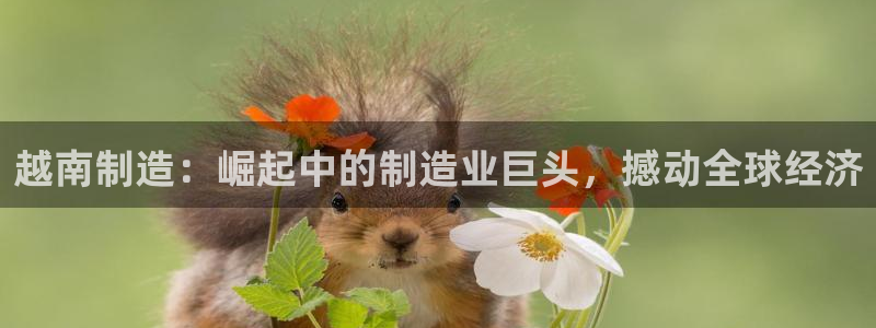 彩神 好 平台：越南制造：崛起中的制造业巨头，撼动全球经济