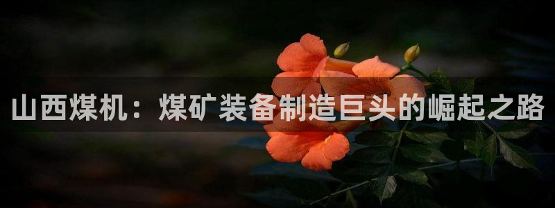 彩神V购彩大厅