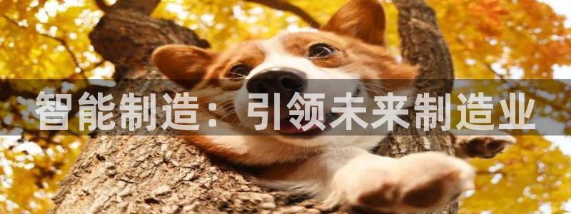 彩神是正规平台吗是真的吗