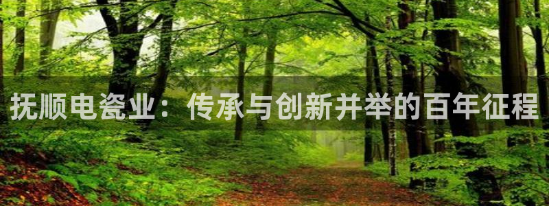 彩神v8客户端：抚顺电瓷业：传承与创新并举的百年征程