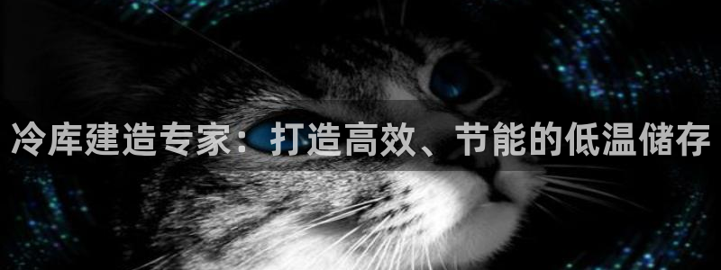 彩神vip购彩：冷库建造专家：打造高效、节能的低温储存