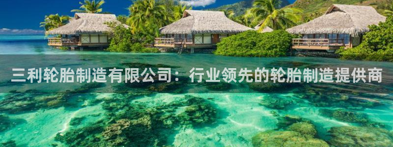 彩神v8手机客户端：三利轮胎制造有限公司：行业领先的轮胎制造提供商