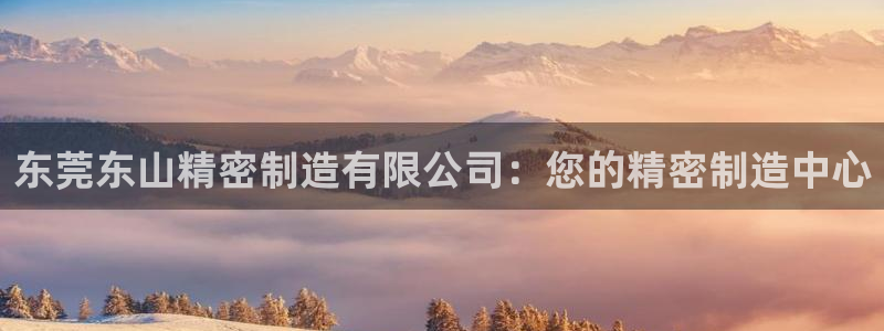 彩神是怎样一个平台：东莞东山精密制造有限公司：您的精密制造中