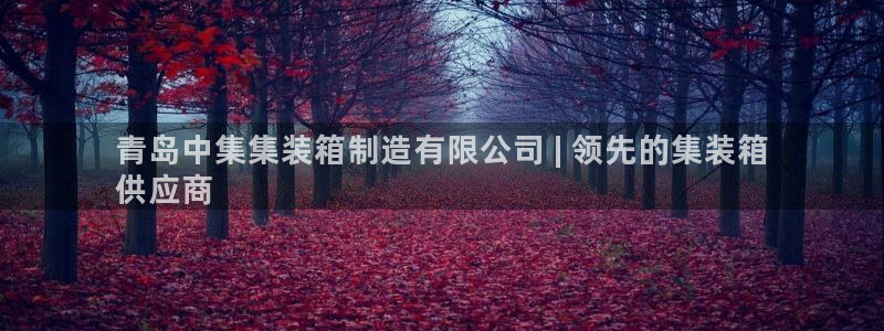 彩神v破解版：青岛中集集装箱制造有限公司 | 领先的集装箱
