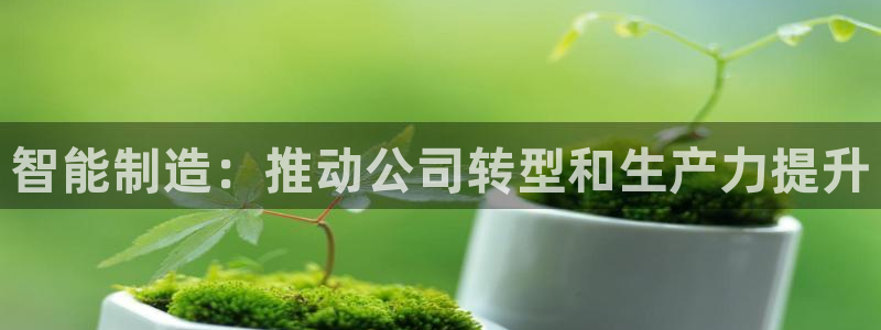 彩神v8下载：智能制造：推动公司转型和生产力提升