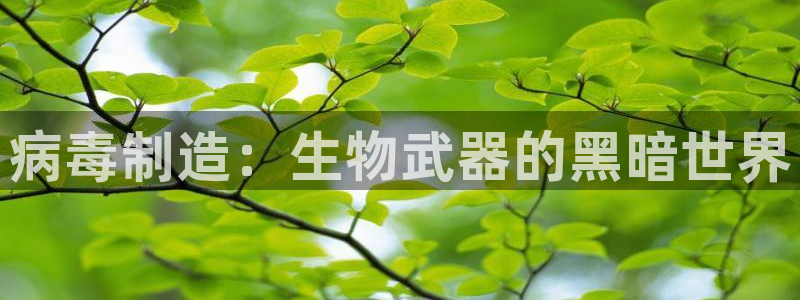 彩神8官网下