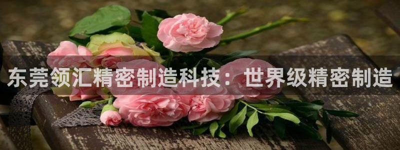 彩神赢了钱登录不上去：东莞领汇精密制造科技：世界级精密制造