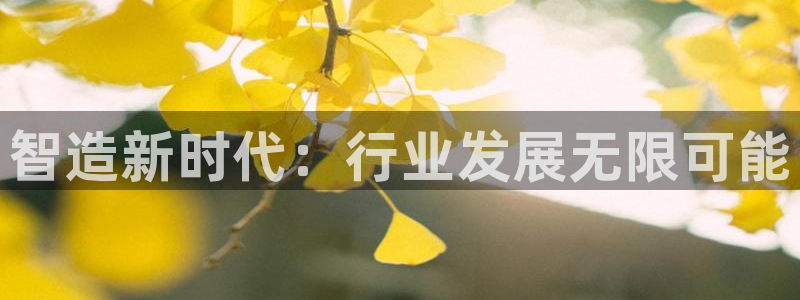 彩神v8下载app5.0：智造新时代：行业发展无限可能