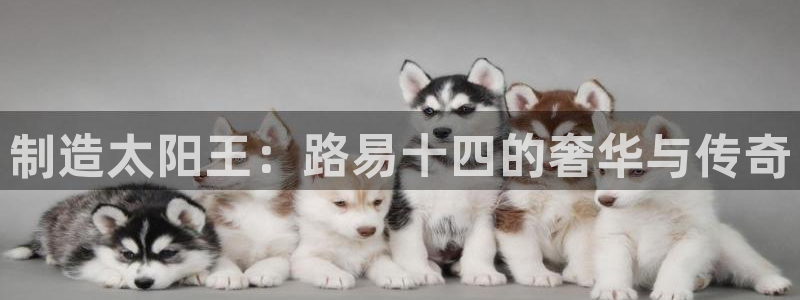 彩神通关注码金码对应码