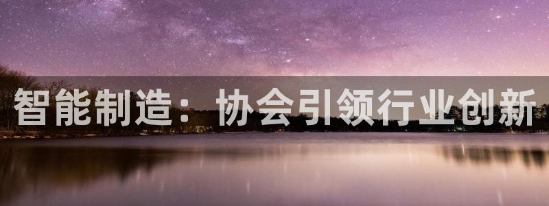 彩神网能赚钱是怎么回事：智能制造：协会引领行业创新