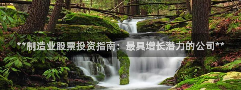 彩神平台是什么套路：**制造业股票投资指南：最具增长潜力的公司**