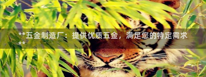 彩神官方登录：**五金制造厂：提供优质五金，满足您的特定需求
**