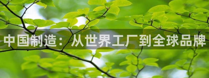 彩神v天天：中国制造：从世界工厂到全球品牌