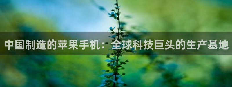 彩神ix平台