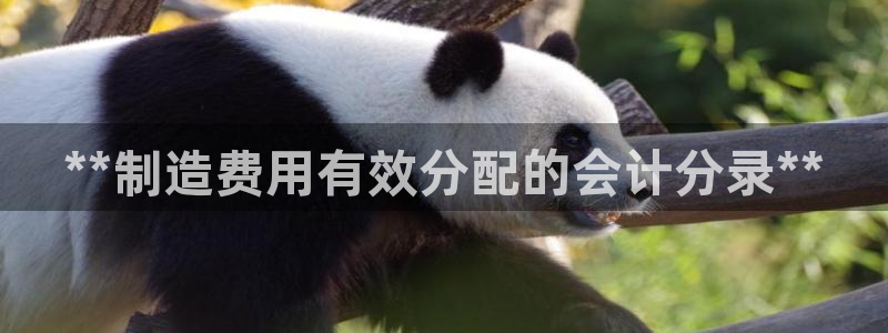 彩神是正规平台吗是真的吗：**制造费用有效分配的会计分录**