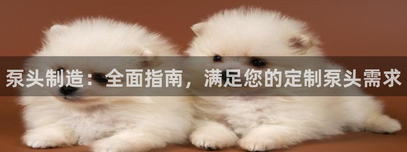 彩神这个平台是真的吗：泵头制造：全面指南，满足您的定制泵头需求