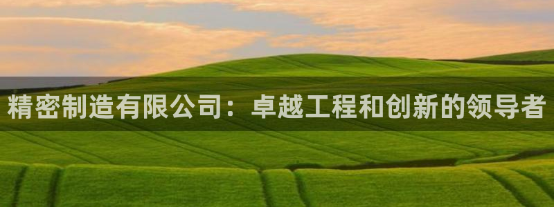 彩神购彩-购彩大厅入口：精密制造有限公司：卓越工程和创新的领导者