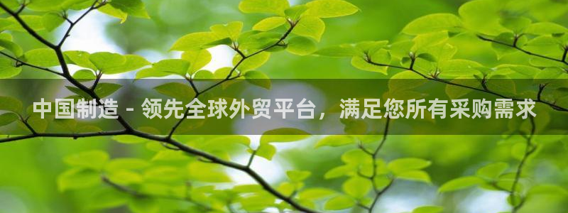 彩神的邀请码是多少：中国制造 - 领先全球外贸平台，满足您所有采购需求