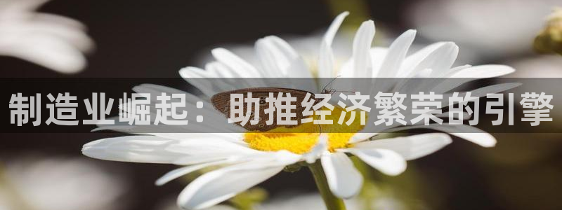 彩神通关注码金码对应码：制造业崛起：助推经济繁荣的引擎