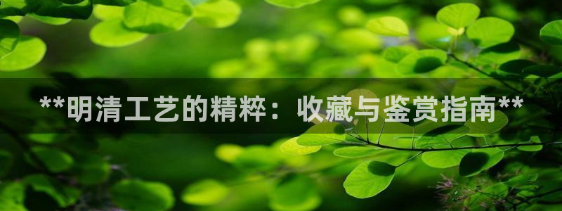 大发彩神争：**明清工艺的精粹：收藏与鉴赏指南**