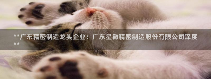 彩神8最新版下载