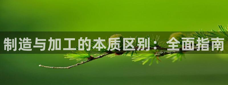彩神ix能赚钱吗：制造与加工的本质区别：全面指南