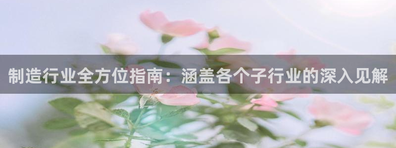 彩神网能赚钱是怎么回事：制造行业全方位指南：涵盖各个子行业的
