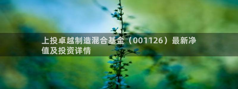彩神v8是真的挣钱吗知乎：上投卓越制造混合基金（001126