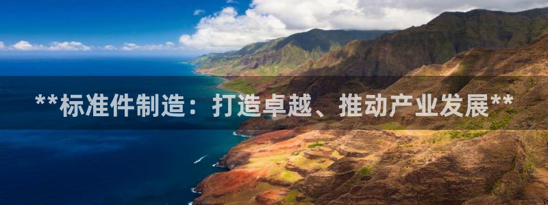 彩神vlll游戏特色：**标准件制造：打造卓越、推动产业发展**