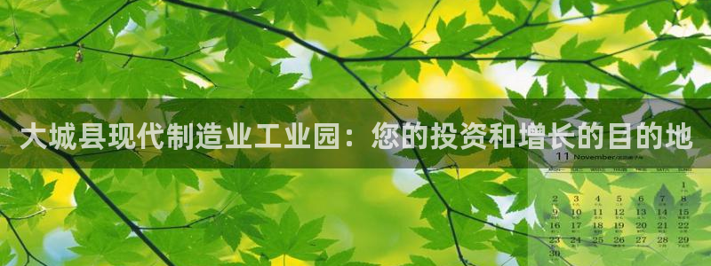 彩神v8下载app：大城县现代制造业工业园：您的投资和增长的