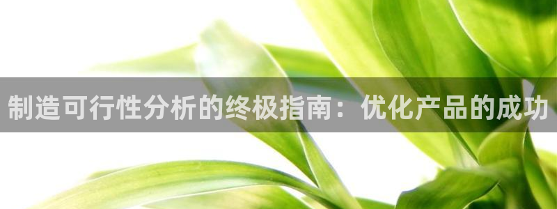 彩神v8首页：制造可行性分析的终极指南：优化产品的成功