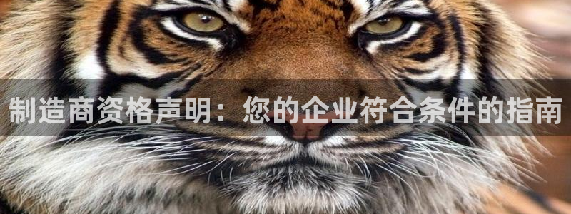 彩神iv争霸购彩大厅