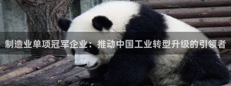 彩神广告有限公司