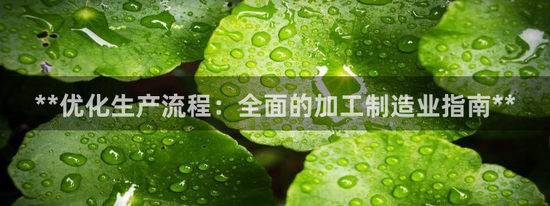 彩神v8手机客户端：**优化生产流程：全面的加工制造业指南**